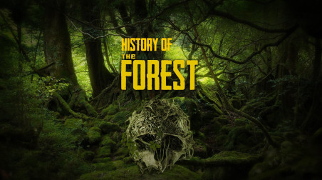 История The Forest