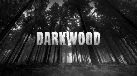 Обзор Darkwood |Как заставить игрока концентрироваться|