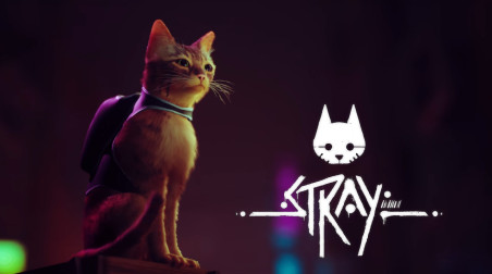 Stray — киберпанк, котик, хедкрабы! Основные моменты об игре и немного Санта-Барбары о родстве.