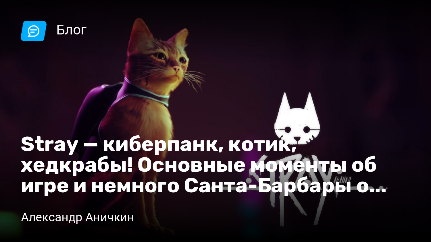 Stray — киберпанк, котик, хедкрабы! Основные моменты об игре и немного  Санта-Барбары о родстве. | StopGame