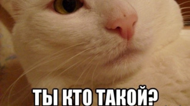 Здравствуй! Ты Кто?
