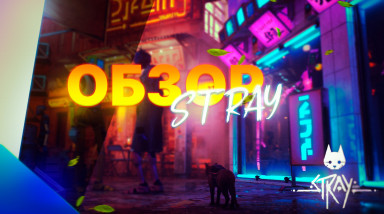 Stray Обзор