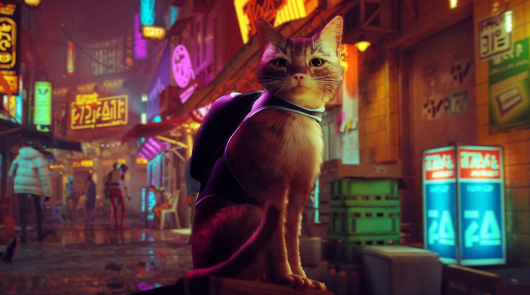 Кот играет в игры видео. Stray игра. Игра про кота 2022 Stray. Фэнтези кошки. Кот киберпанк.