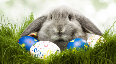 Цепочка пасхалок в играх