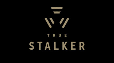 True Stalker(2023). Не хуже, чем у GSC?