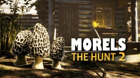 Morels: The Hunt 2. Трогаем грибы