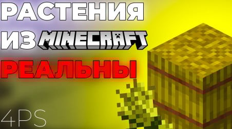 Растения, Minecraft, эволюция.