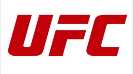 5 моментов UFC достойных аниме экранизации.