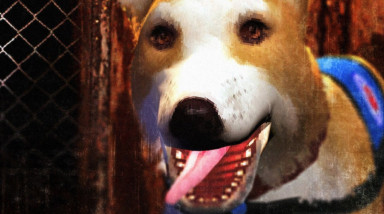 Lost in Vivo — ужас, рождённый в тени людского благоразумия