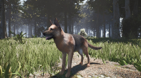 Небольшой фрагмент Alone on the Lost Isle — прогулка с собакой-компаньоном