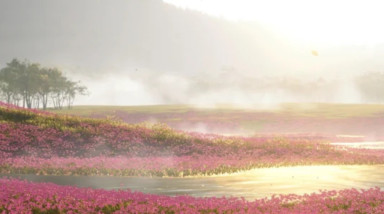 Как защитить права на видеоигру 🎮