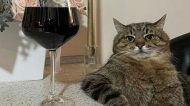 Игровая взрослая жизнь: почему в 30 лет мы включаем ферму, а не доту и когда приходит кайф от симулятора грузовика