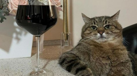 Игровая взрослая жизнь: почему в 30 лет мы включаем ферму, а не доту и когда приходит кайф от симулятора грузовика