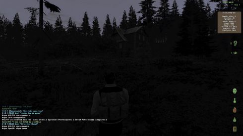 DayZ
