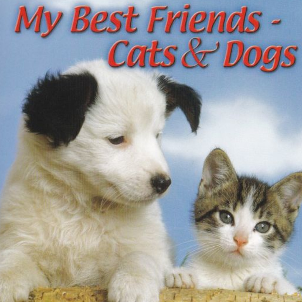 My Best Friends. Cats & Dogs (Четвероногие друзья. Кот и пес) — обзоры и  отзывы, описание, дата выхода, официальный сайт игры, системные требования  и оценки игроков | StopGame