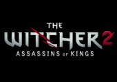Witcher 2: Assassins of Kings, The