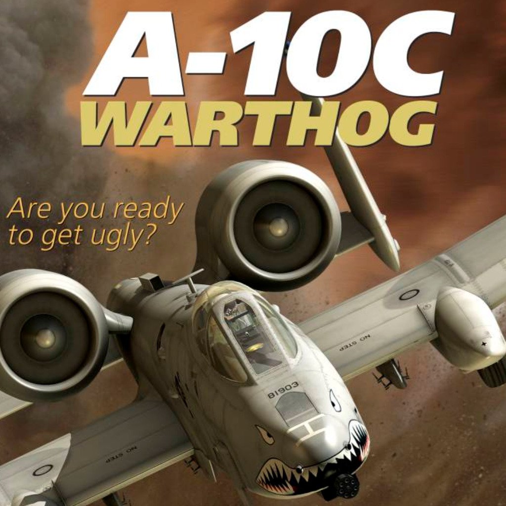 Digital Combat Simulator: A-10C Warthog — обзоры и отзывы, описание, дата  выхода, официальный сайт игры, системные требования и оценки игроков |  StopGame