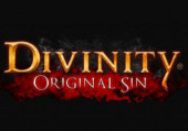 Divinity: Original Sin