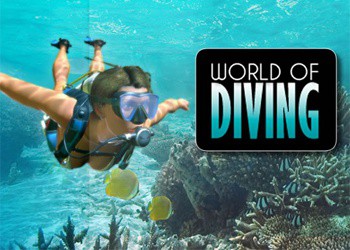 скачать игру World Of Diving через торрент на русском - фото 3