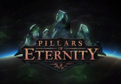 Pillars of Eternity
