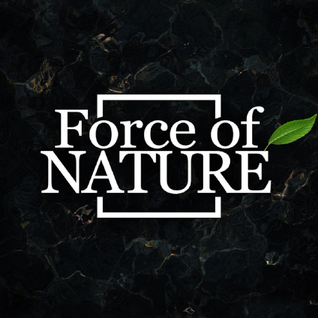 Force of Nature: +3 трейнер | StopGame