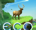 Eco: Коды