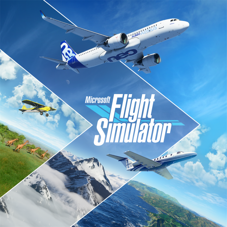 Microsoft Flight Simulator world simulation
