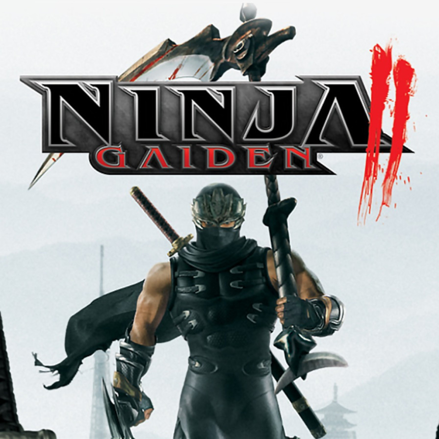 Ninja Gaiden II (Ninja Gaiden 2) — обзоры и отзывы, описание, дата выхода, официальный сайт игры