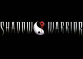 Обзор игры Shadow Warrior