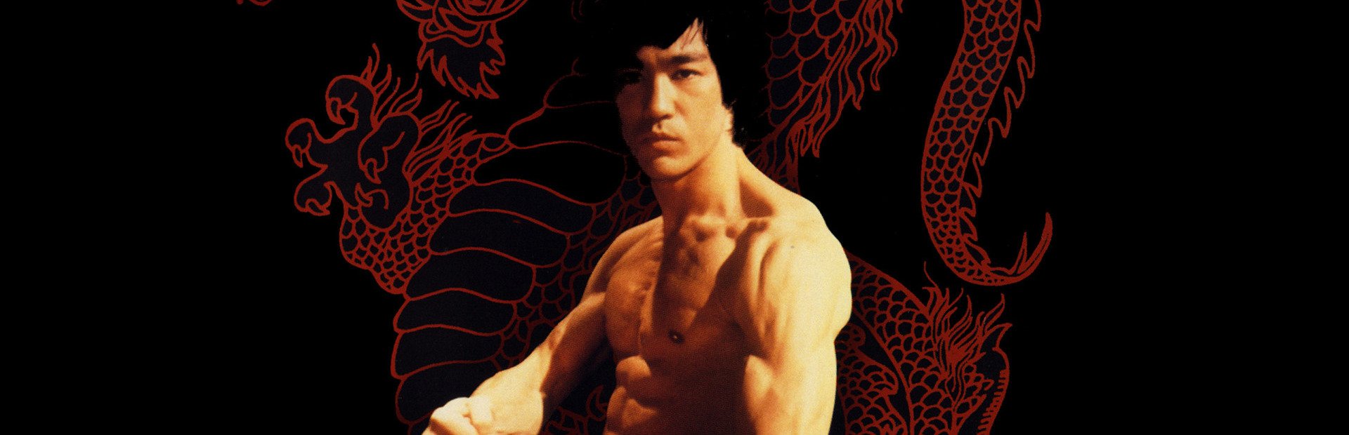 Bruce Lee: Quest of the Dragon — обзоры и отзывы, описание, дата выхода,  официальный сайт игры, системные требования и оценки игроков | StopGame