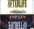 Afterlife: Коды