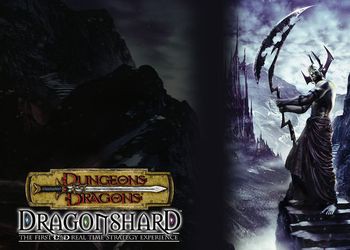 Dungeons & Dragons: Dragonshard: Обзор