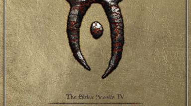 The Elder Scrolls IV: Oblivion: Советы и тактика