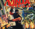 Ninja Gaiden: Коды