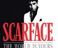 Scarface: The World is Yours: Коды