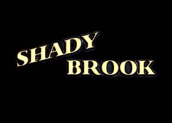 Shady Brook: Прохождение