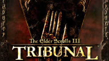 The Elder Scrolls III: Tribunal: Советы и тактика