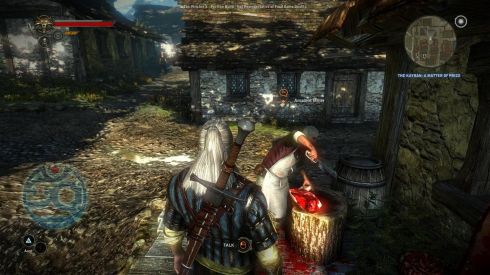 The Witcher 2: Assassins of Kings