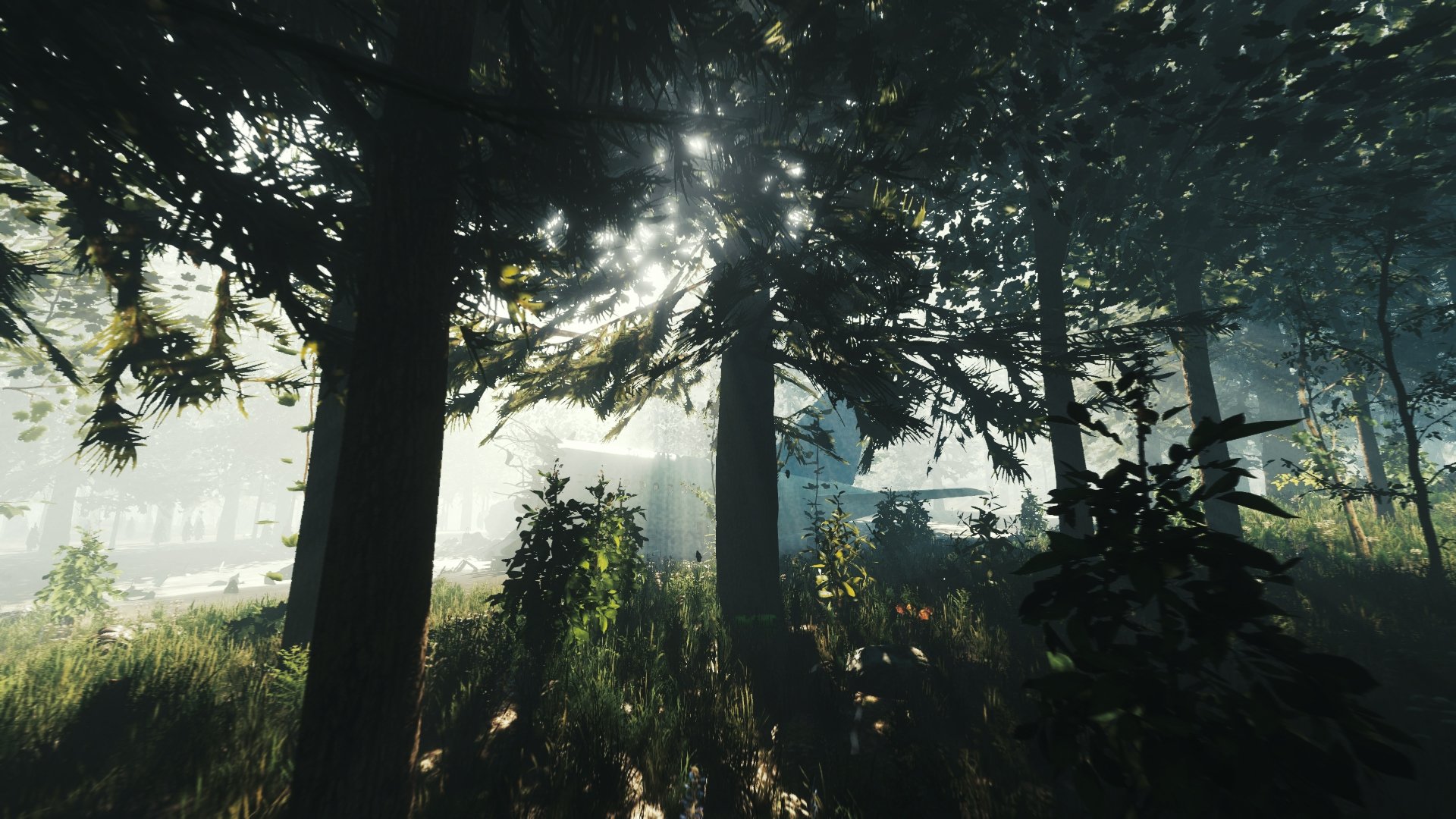 The Forest ps4