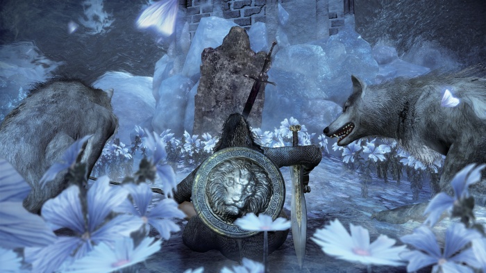 normal_uzOYRgoBXJd7.jpg