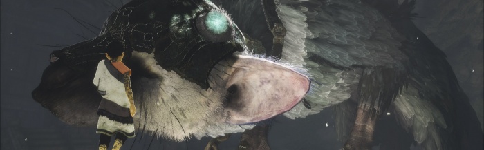 normal_6R4xk1wGhYVqV7.jpg