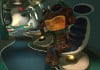   Psychonauts 2     ,  — ң 