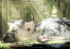  PlayStation 4 ,   Sony — ,  The Last Guardian 