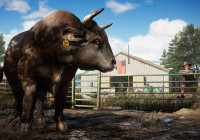   Far Cry 5 —  ,   
