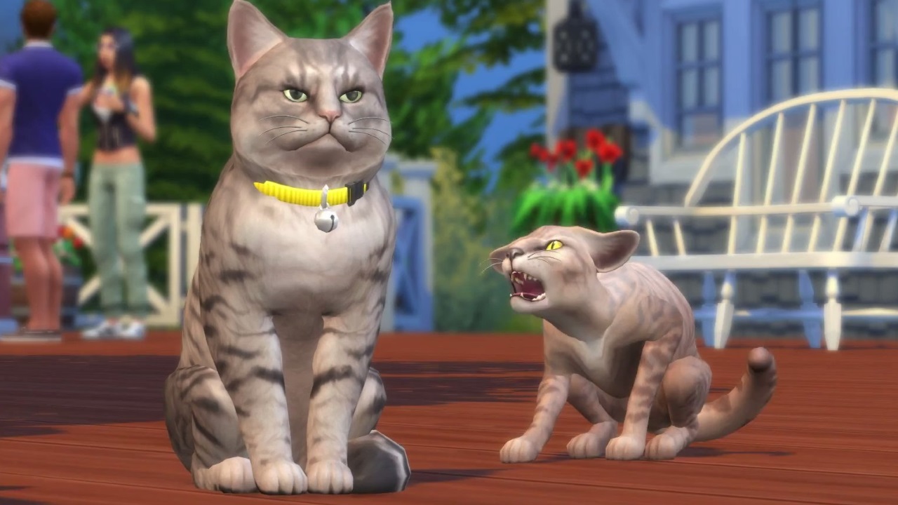 Симс 3 кошка. The SIMS 4. кошки и собаки. SIMS 4 кошка. SIMS Cat Break-Dancing gif. Играть в симс 4 кошки и собаки ветиринарша 1.