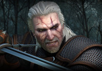   ,  The Witcher 3: Wild Hunt    Xbox One X