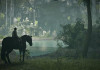    , PS4- Shadow of the Colossus —      