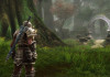 THQ Nordic    Kingdoms of
Amalur