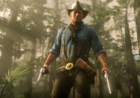 Red Dead Redemption 2:   ,    
    