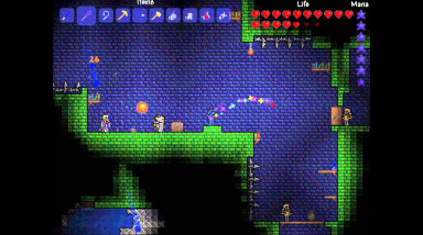 Epic Games не купить души разработчиков Terraria